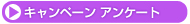 �L�����y�[���A���P�[�g