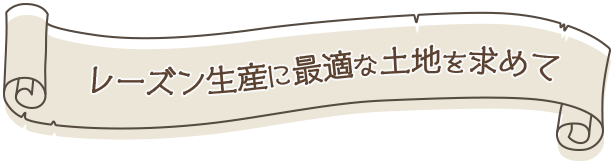 レーズン生産に最適な土地を求めて