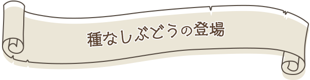 種なしぶどうの登場